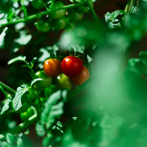 Moderne Dachterrassen-Oase